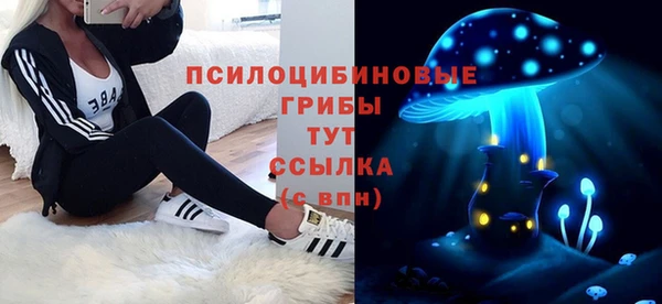 2c-b Абдулино
