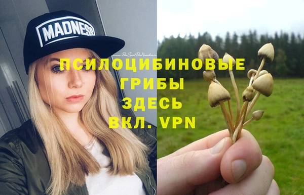 мет Абинск