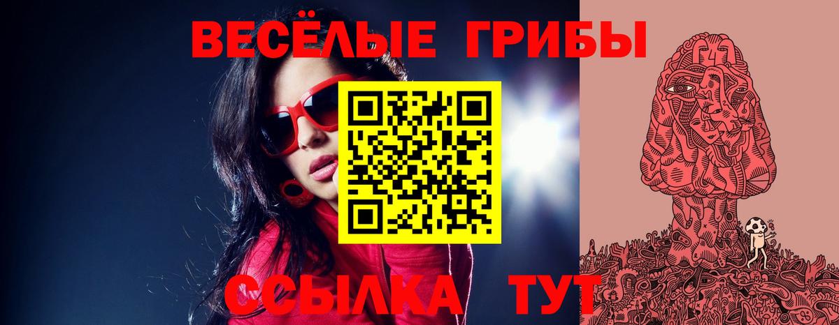 Кизилюрт  магазин  наркотиков  Псилоцибиновые грибы Psilocybe  Вход с VPN  Галлюциногенные грибы прущие грибы 